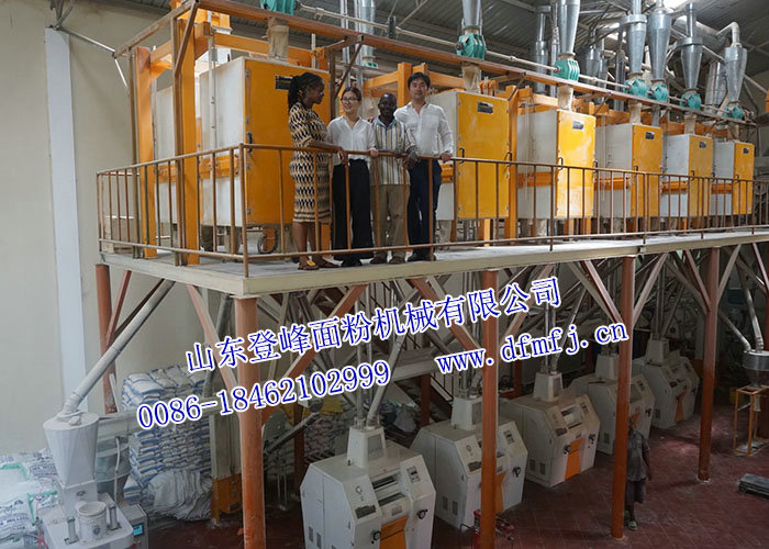 6FMFQ-62T 玉米粉加工設備